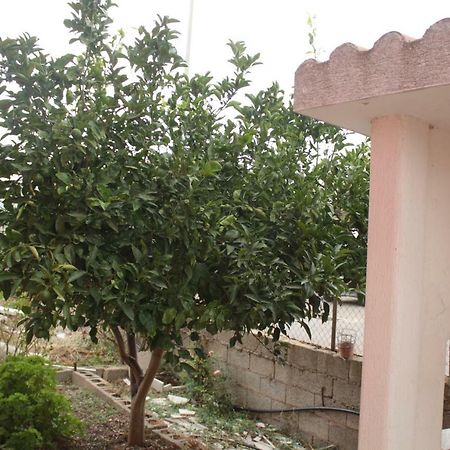 Casa Vacanze Пішинас Екстер'єр фото